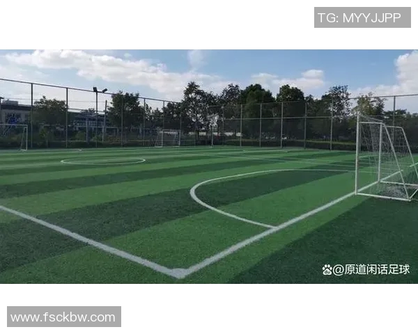 南京足球队在城市联赛中的实力展现与未来发展潜力分析