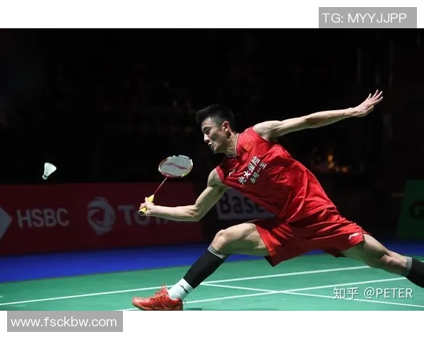 深圳羽毛球队在全国锦标赛中的耐力表现分析与总结 深圳羽毛球队在全国锦标赛中的耐力表现分析与总结