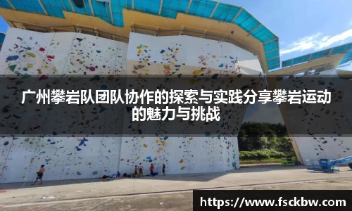 星空xingkong官方网站